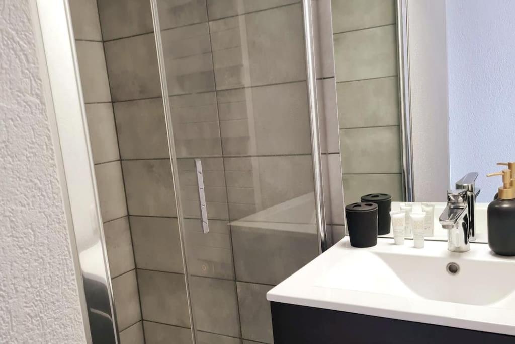 Cosy Calme Et Entierement Renove Appartement Belfort