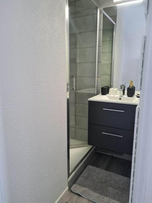 Cosy Calme Et Entierement Renove Appartement